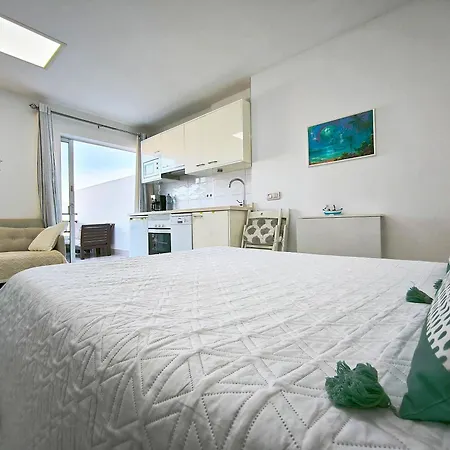 公寓 Girasol Rooftop View 拉克鲁斯